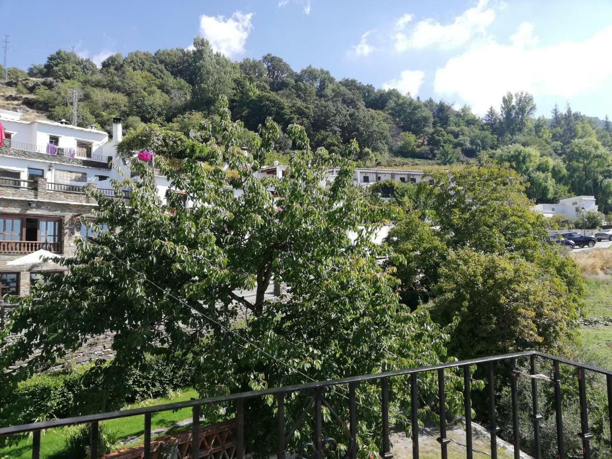 Apartamentos Cerro Negro Capileira Dış mekan fotoğraf